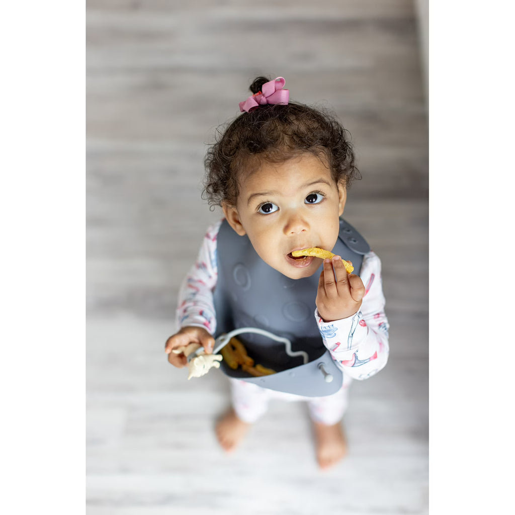 Busy Baby Silicone Baby Bib with Food Catcher, Utensils and Straps – BPA-Free Toddler Bib