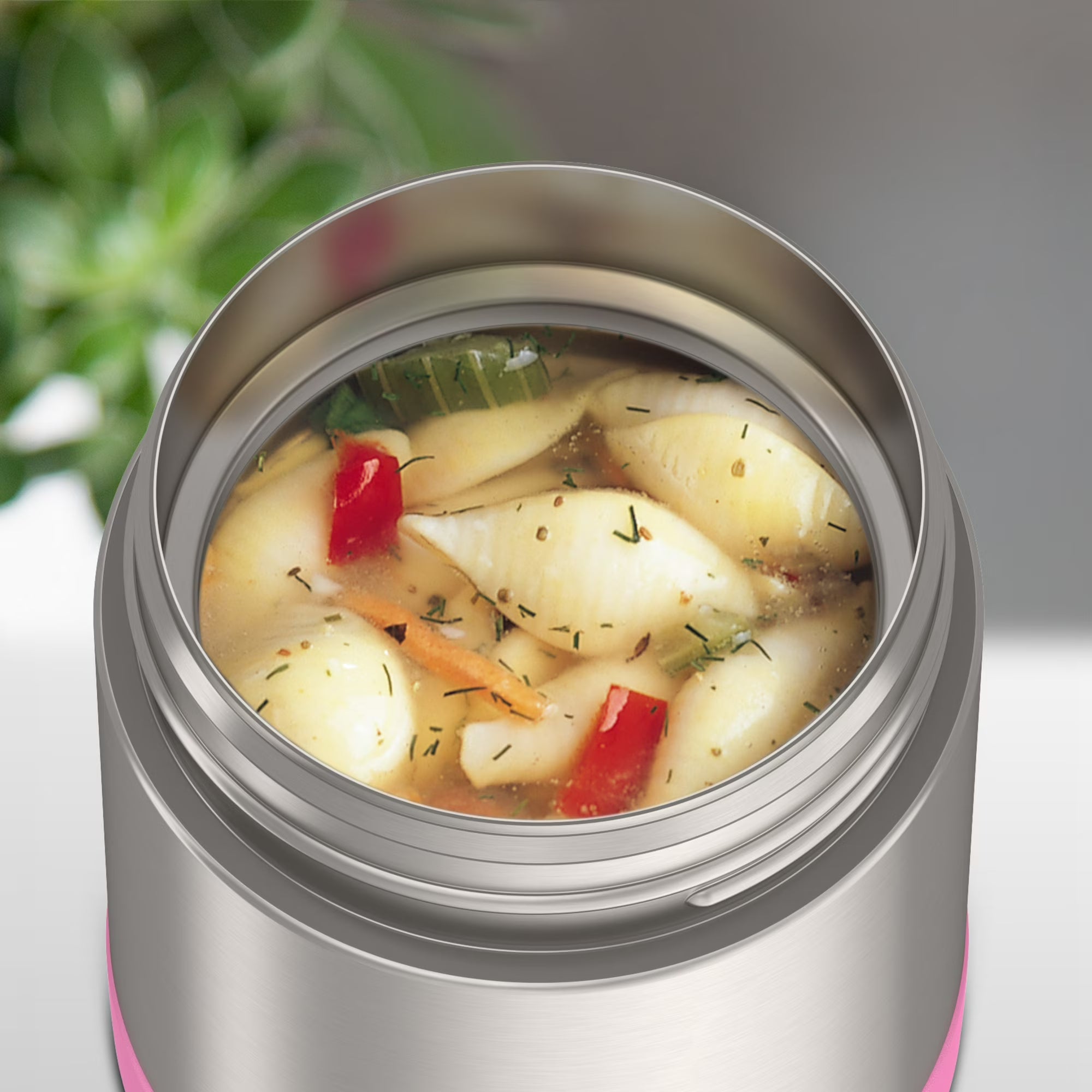 Thermos Vacuum Insulated Stainless Steel Food Jar