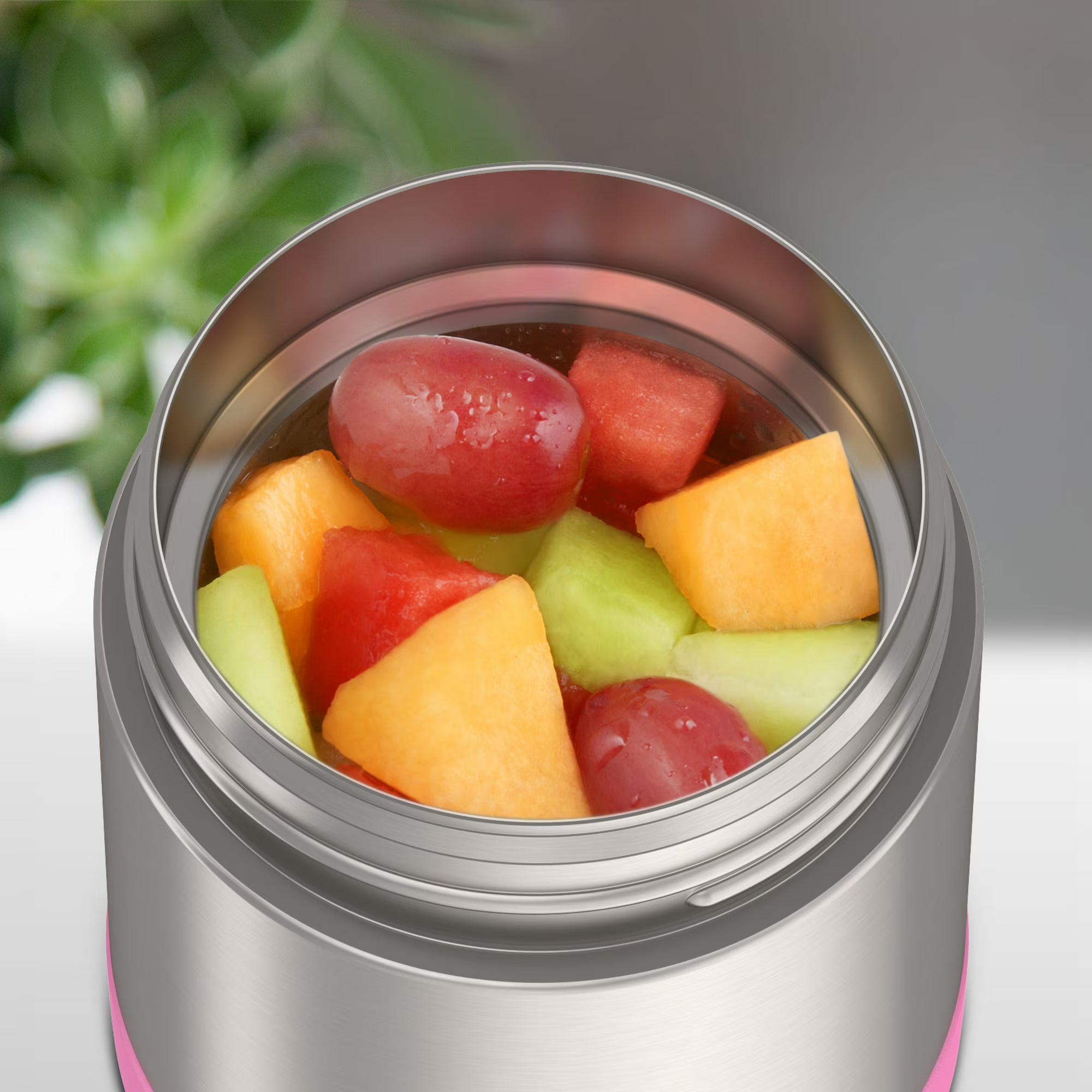 Thermos Vacuum Insulated Stainless Steel Food Jar
